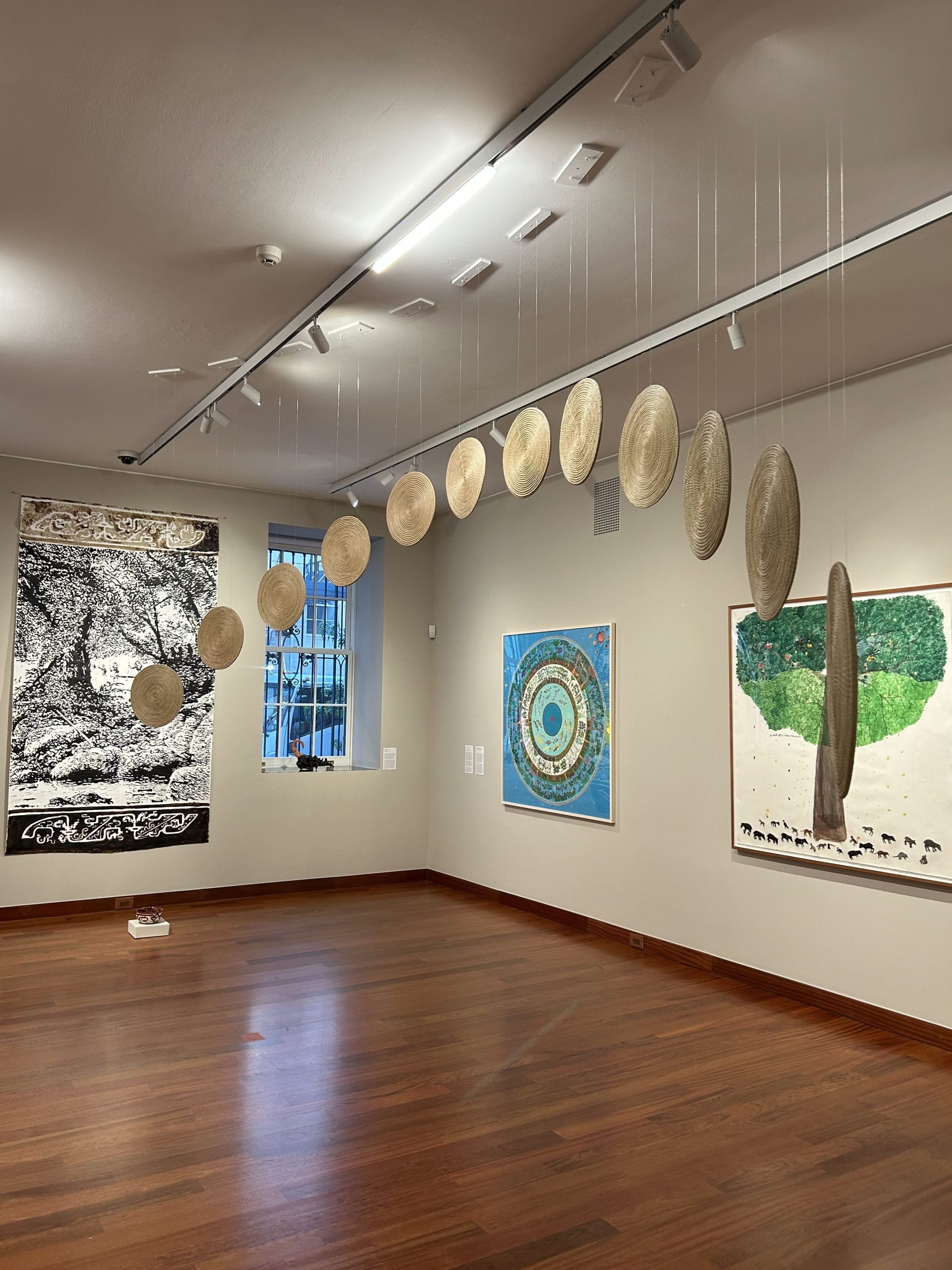 Amazonia Açu. Americas Society, Nueva York, 3 de septiembre de 2025–18 de abril de 2026